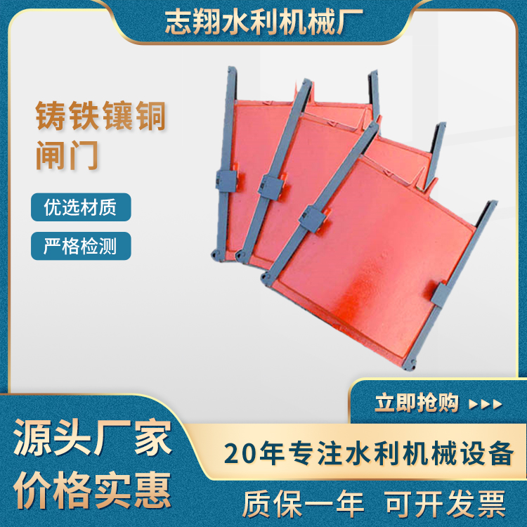 铸铁拱形闸门